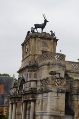 DSC01240
