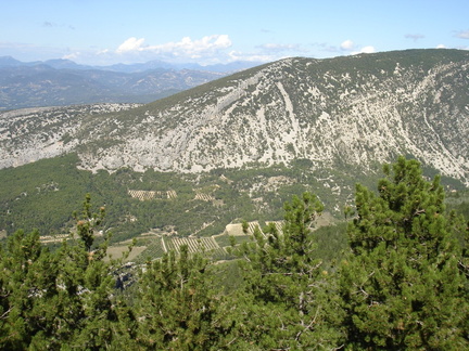 DSC01813