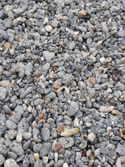 IMG-20240521-WA0032