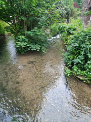 IMG-20240521-WA0038