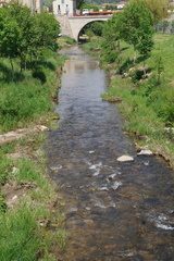 DSC08020