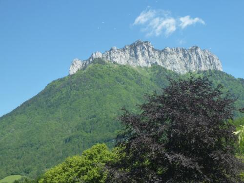 P1190644 (1)