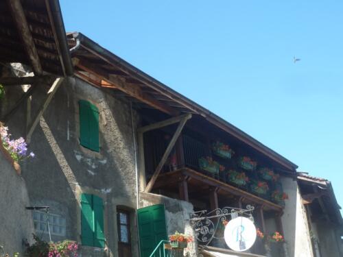 P1190686 (1) (1)